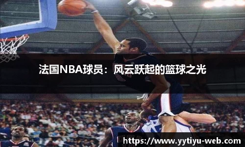 法国NBA球员：风云跃起的篮球之光